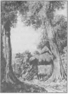 Иллюстрация к книге — Россия, какой она могла бы быть. История приобретений и потерь заморских территорий [i_065.jpg]