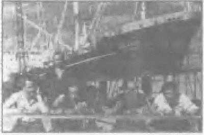 Иллюстрация к книге — Россия, какой она могла бы быть. История приобретений и потерь заморских территорий [i_118.jpg]