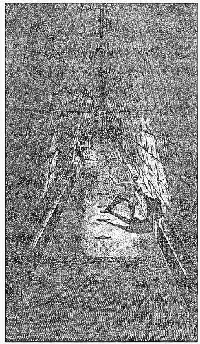 Иллюстрация к книге — Новая эра пирамид [i_009.jpg]