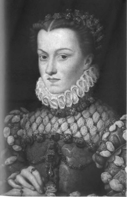 Иллюстрация к книге — Повседневная жизнь французов во времена религиозных войн [i_013.jpg]