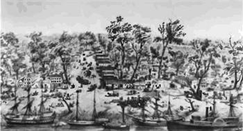 Иллюстрация к книге — Повседневная жизнь Калифорнии во времена "золотой лихорадки" [img8cdf.jpg]