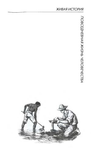 Иллюстрация к книге — Повседневная жизнь Калифорнии во времена &quot;золотой лихорадки&quot; [serie_title.jpg]