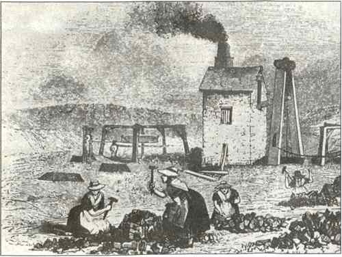 Иллюстрация к книге — Русская Австралия [i_020.jpg]