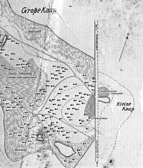 Иллюстрация к книге — Пруссы эпохи викингов. Жизнь и быт общины Каупа [i_004.jpg]