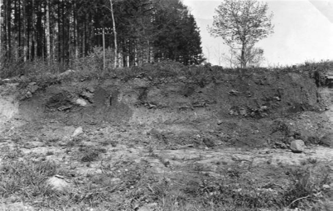 Иллюстрация к книге — Пруссы эпохи викингов. Жизнь и быт общины Каупа [i_009.jpg]