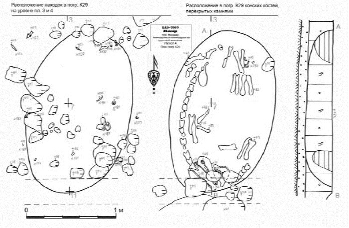 Иллюстрация к книге — Пруссы эпохи викингов. Жизнь и быт общины Каупа [i_019.jpg]