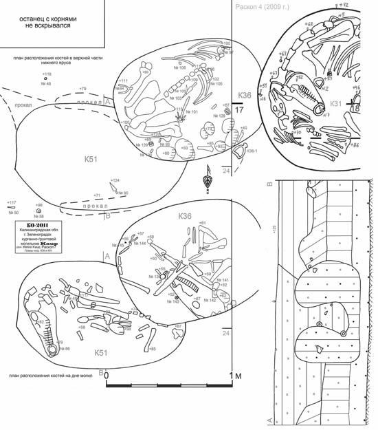 Иллюстрация к книге — Пруссы эпохи викингов. Жизнь и быт общины Каупа [i_033.jpg]