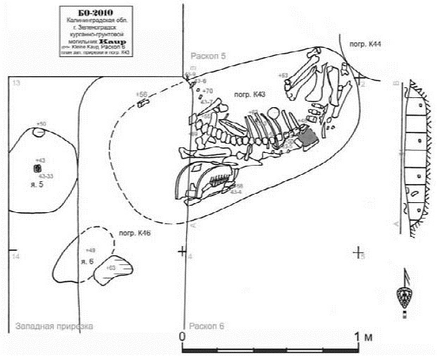 Иллюстрация к книге — Пруссы эпохи викингов. Жизнь и быт общины Каупа [i_053.jpg]