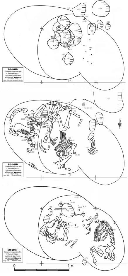 Иллюстрация к книге — Пруссы эпохи викингов. Жизнь и быт общины Каупа [i_055.jpg]