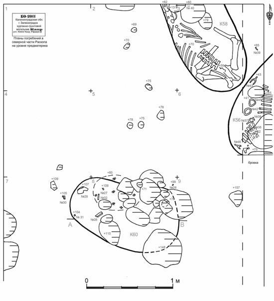 Иллюстрация к книге — Пруссы эпохи викингов. Жизнь и быт общины Каупа [i_090.jpg]