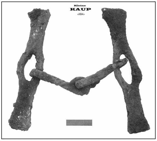 Иллюстрация к книге — Пруссы эпохи викингов. Жизнь и быт общины Каупа [i_097.jpg]