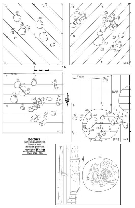 Иллюстрация к книге — Пруссы эпохи викингов. Жизнь и быт общины Каупа [i_132.jpg]