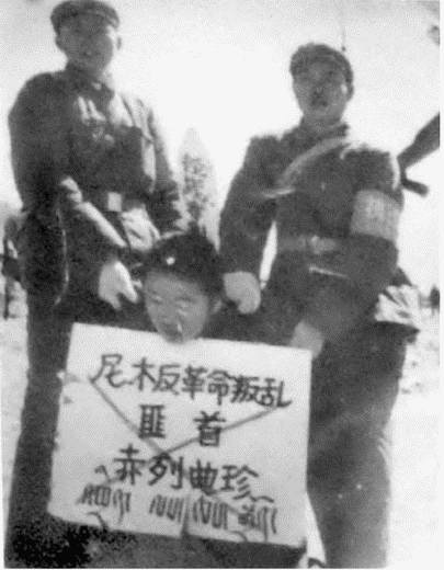 Иллюстрация к книге — Скрытый Тибет. История независимости и оккупации [i_083.jpg]