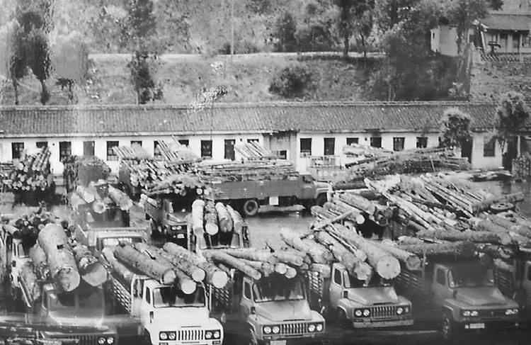 Иллюстрация к книге — Скрытый Тибет. История независимости и оккупации [i_103.jpg]