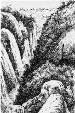 Иллюстрация к книге — Доисторическая Европа [i_002.jpg]