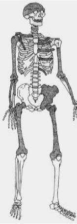 Иллюстрация к книге — Доисторическая Европа [i_005.jpg]