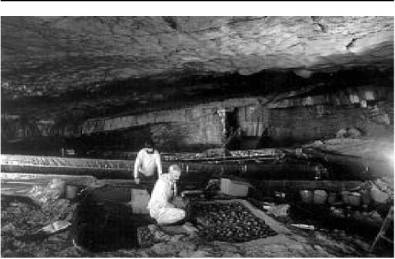 Иллюстрация к книге — Доисторическая Европа [i_015.jpg]