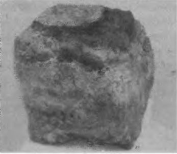 Иллюстрация к книге — Игры, угодные богам [_024.jpg]