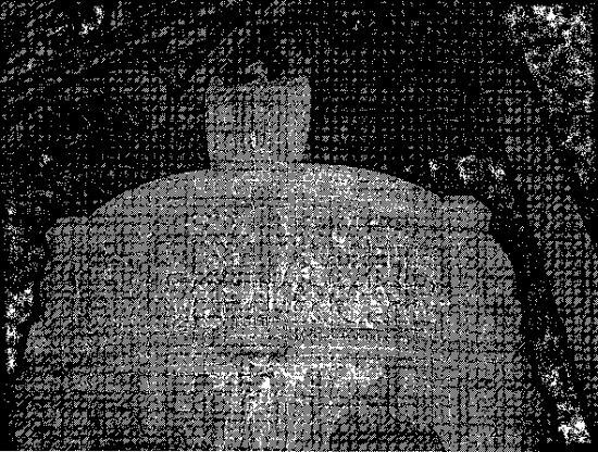 Иллюстрация к книге — Игры, угодные богам [_049.jpg]