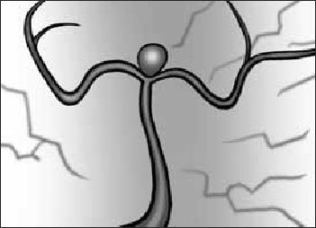 Иллюстрация к книге — О чем говорят симптомы [i_002.jpg]