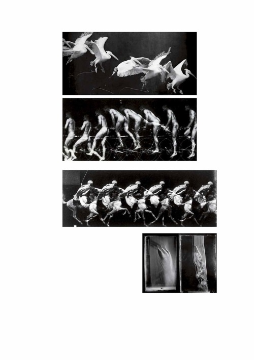 Иллюстрация к книге — Лекции по истории фотографии [i_010.jpg]