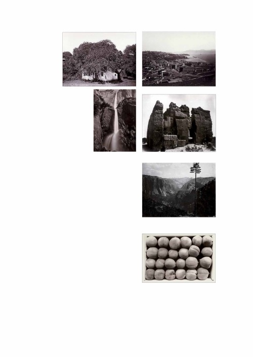 Иллюстрация к книге — Лекции по истории фотографии [i_022.jpg]