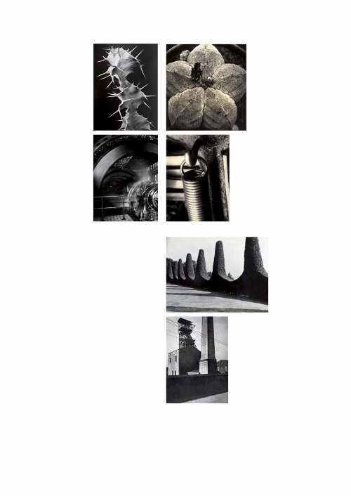 Иллюстрация к книге — Лекции по истории фотографии [i_057.jpg]