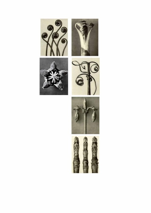 Иллюстрация к книге — Лекции по истории фотографии [i_059.jpg]