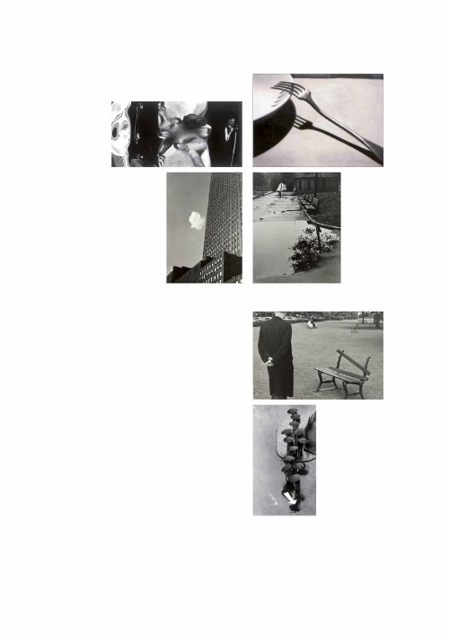 Иллюстрация к книге — Лекции по истории фотографии [i_101.jpg]