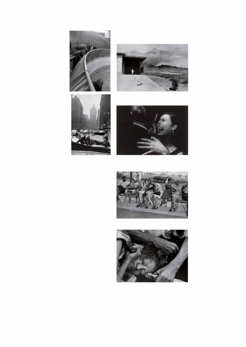 Иллюстрация к книге — Лекции по истории фотографии [i_150.jpg]