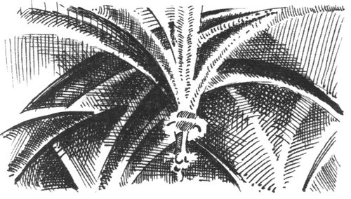 Иллюстрация к книге — История Средних веков, рассказанная детям [i_016.jpg]