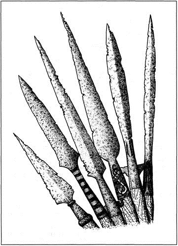 Иллюстрация к книге — Викинги. Походы, открытия, культура [i_048.jpg]