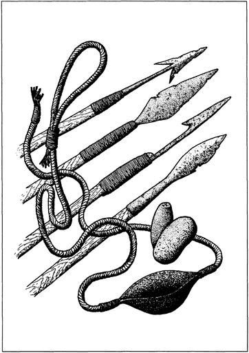 Иллюстрация к книге — Викинги. Походы, открытия, культура [i_050.jpg]