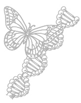 Иллюстрация к книге — Что такое жизнь? [i_001.jpg]