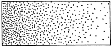 Иллюстрация к книге — Что такое жизнь? [i_005.jpg]