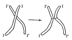 Иллюстрация к книге — Что такое жизнь? [i_009.jpg]