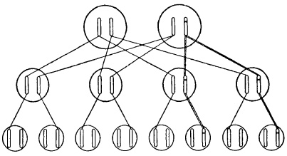 Иллюстрация к книге — Что такое жизнь? [i_012.jpg]