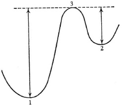 Иллюстрация к книге — Что такое жизнь? [i_016.jpg]