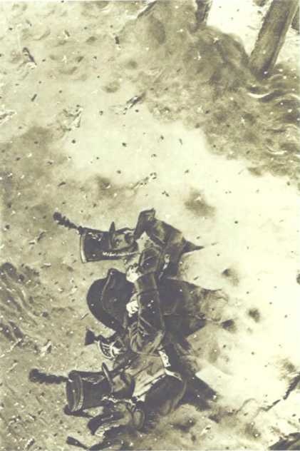 Иллюстрация к книге — 1812. Великий год России [i_065.jpg]