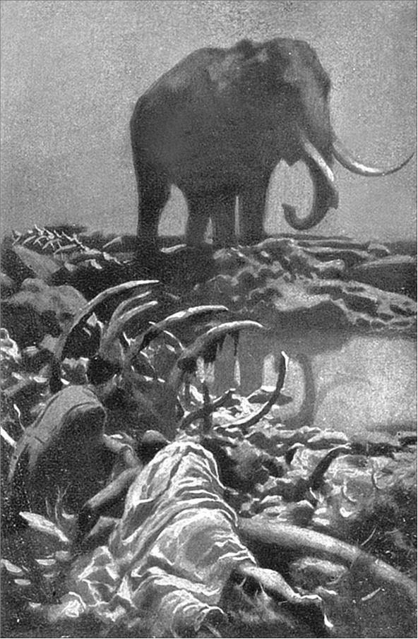 Иллюстрация к книге — Древний Аллан. Дитя из слоновой кости [i_003.jpg]