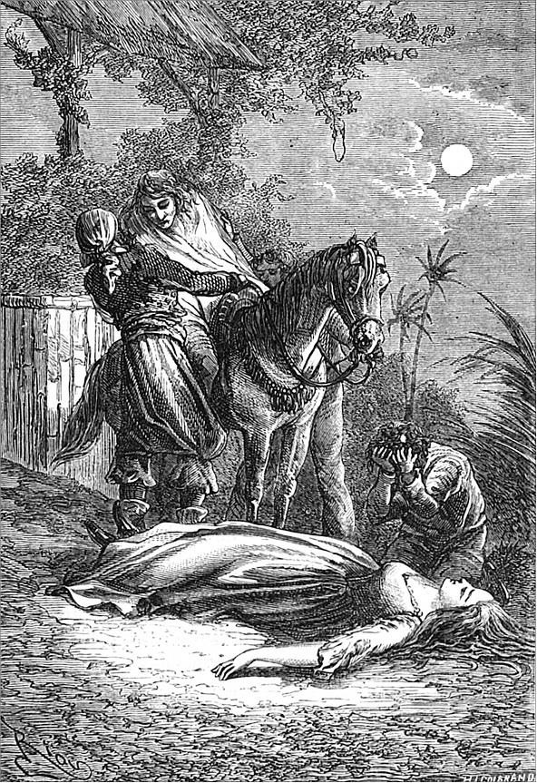 Иллюстрация к книге — Гаспар-гаучо. Затерявшаяся гора [i_007.jpg]