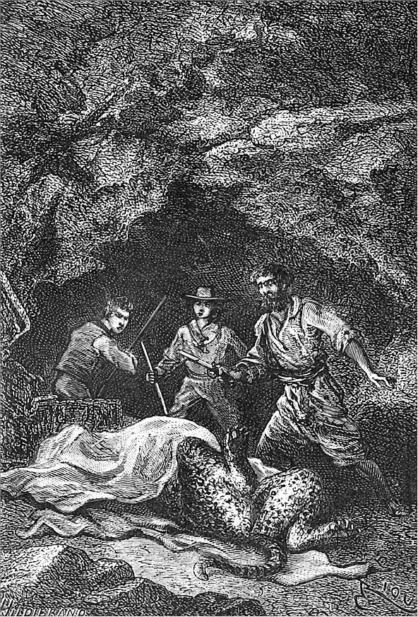 Иллюстрация к книге — Гаспар-гаучо. Затерявшаяся гора [i_011.jpg]