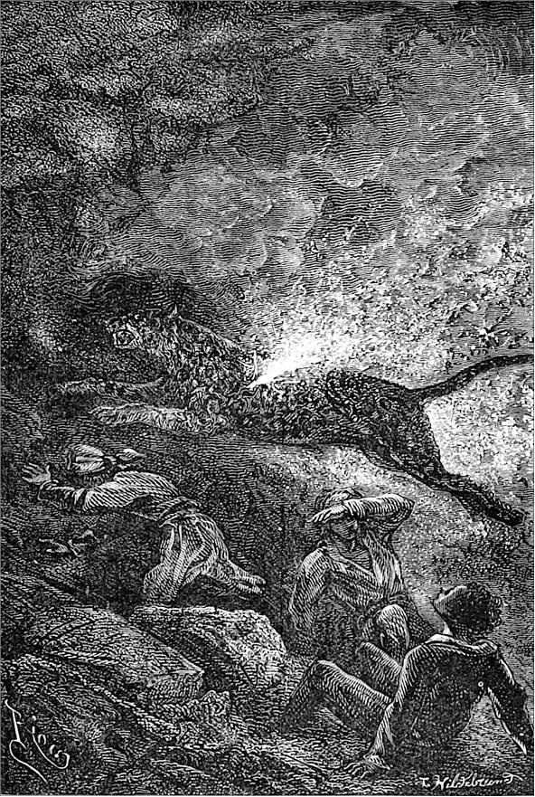 Иллюстрация к книге — Гаспар-гаучо. Затерявшаяся гора [i_012.jpg]