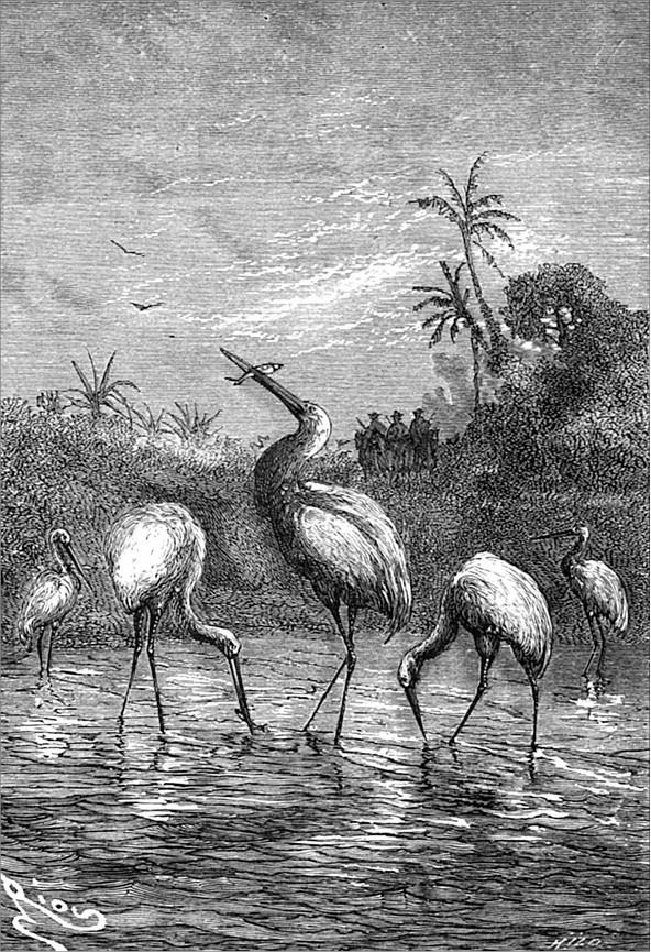 Иллюстрация к книге — Гаспар-гаучо. Затерявшаяся гора [i_013.jpg]