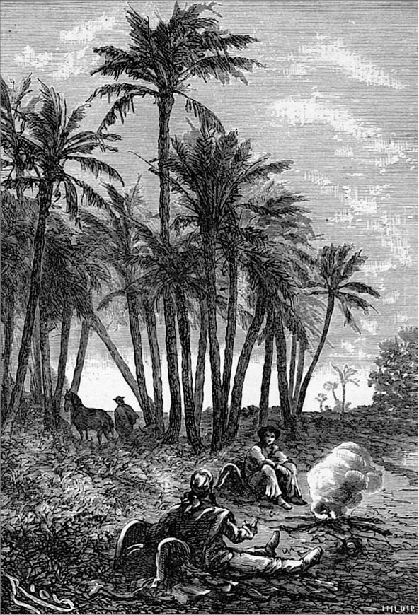 Иллюстрация к книге — Гаспар-гаучо. Затерявшаяся гора [i_015.jpg]