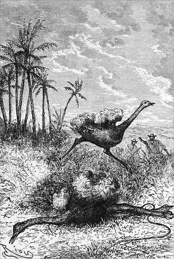 Иллюстрация к книге — Гаспар-гаучо. Затерявшаяся гора [i_016.jpg]