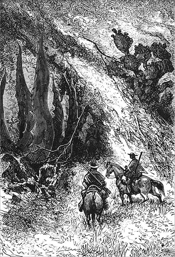 Иллюстрация к книге — Гаспар-гаучо. Затерявшаяся гора [i_018.jpg]