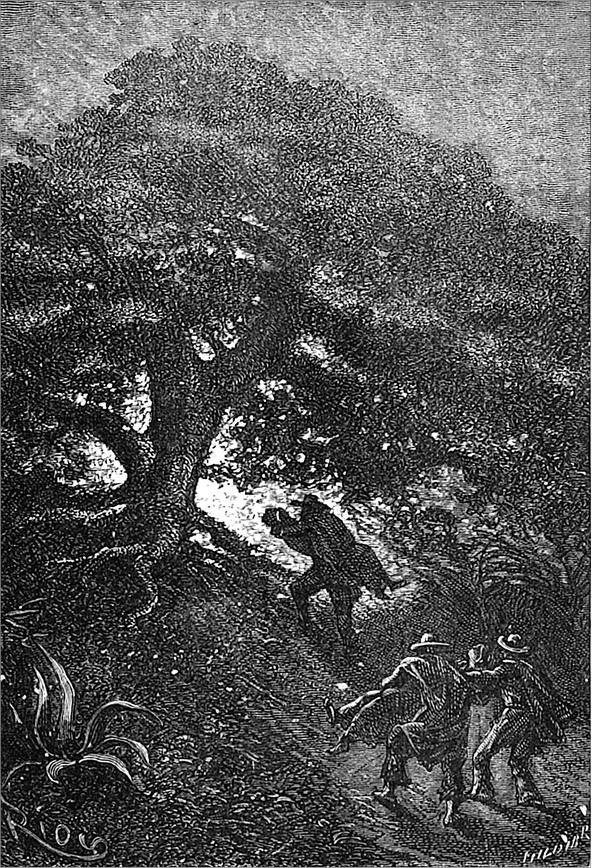 Иллюстрация к книге — Гаспар-гаучо. Затерявшаяся гора [i_020.jpg]