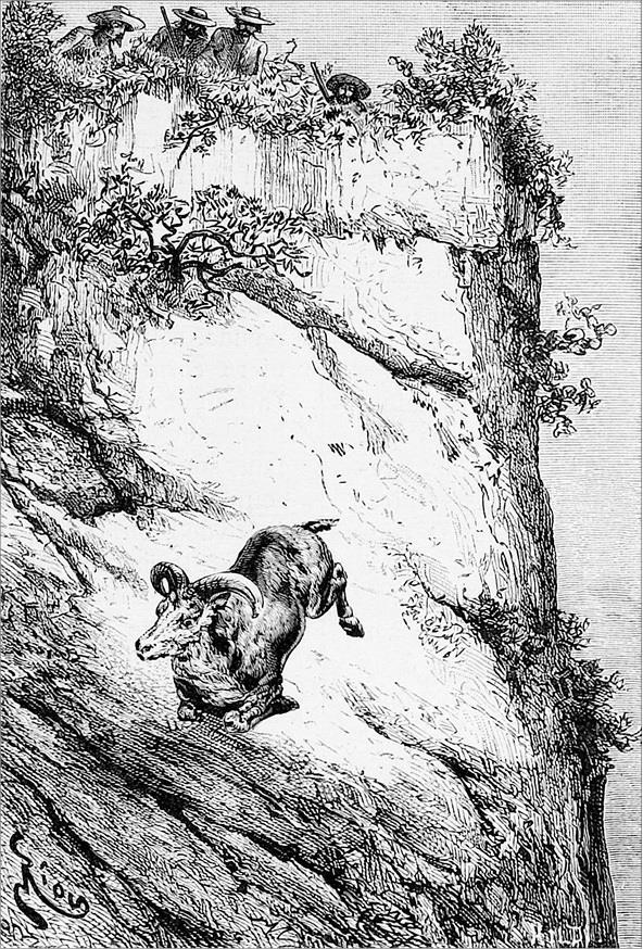 Иллюстрация к книге — Гаспар-гаучо. Затерявшаяся гора [i_042.jpg]