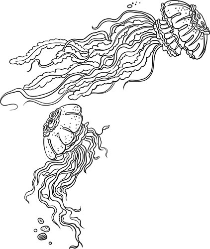 Иллюстрация к книге — О лебединых крыльях, котах и чудесах [i_011.jpg]